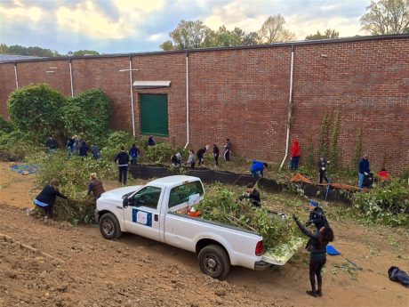 A photograph shows volunteers removing invasive species and loading the plants into a pick-up truck.