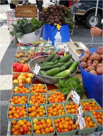 Produce for sale at farmers market, grown by middle school gardeners.