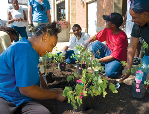 Local Chicago youth beautify East Garfield Park’s commercial district with plantings to improve the public space.