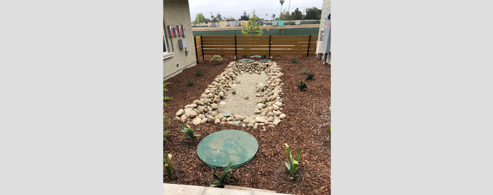 Photograph of a stormwater infiltration basin within a xeriscaped area.