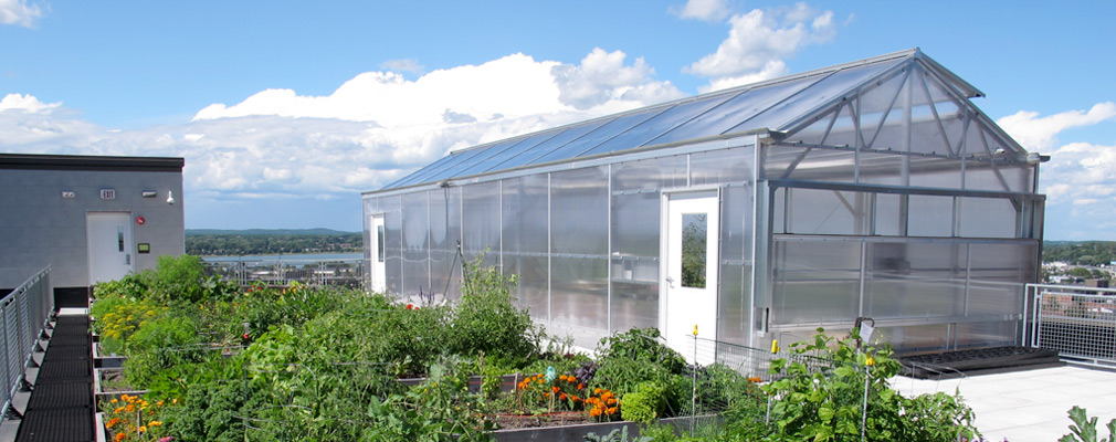 Photograph of nine rooftop garden beds and a greenhouse. 