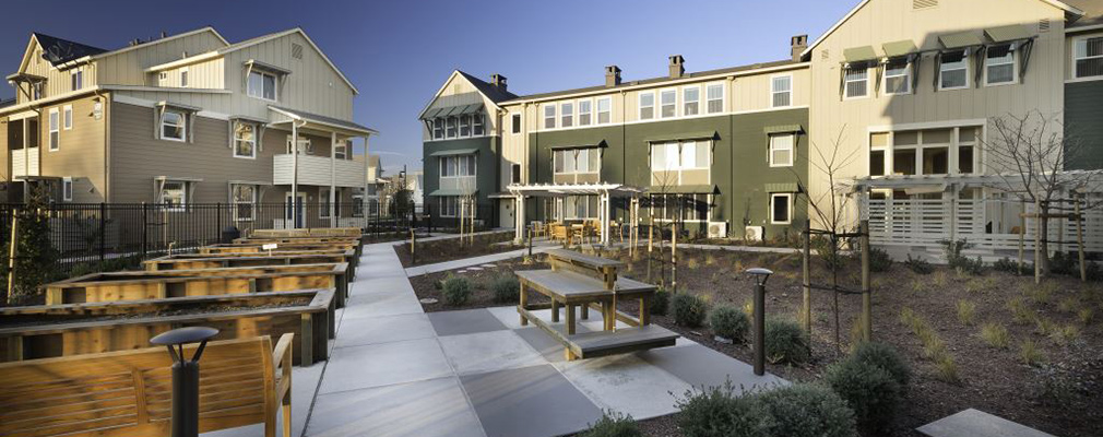 Photograph of a landscaped area with raised planting beds, tables, and benches along a central sidewalk and multifamily buildings in the background.