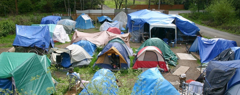 Photograph of approximately 20 tents surrounded by trees and shrubs.