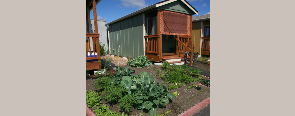 Photograph of a vegetable garden with a one-story cottage with a front porch in the background.