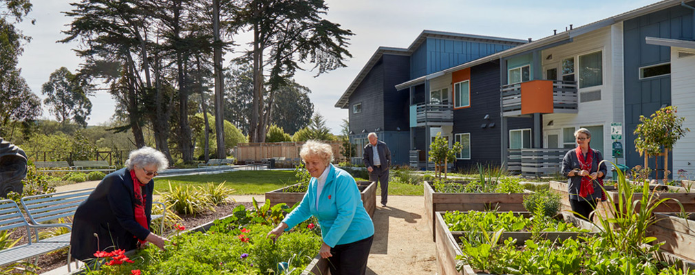 Photograph of four people tending raised planting beds, with a two-story residential building in the background.