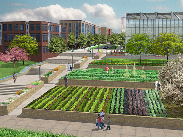 Computer-generated image of a design concept for Park Hill Village West with green space in the foreground and multistory buildings in the background.