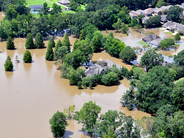 Aerial view of houses and trees in flood water. 