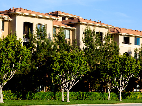 Image of an apartment building surrounded by trees.