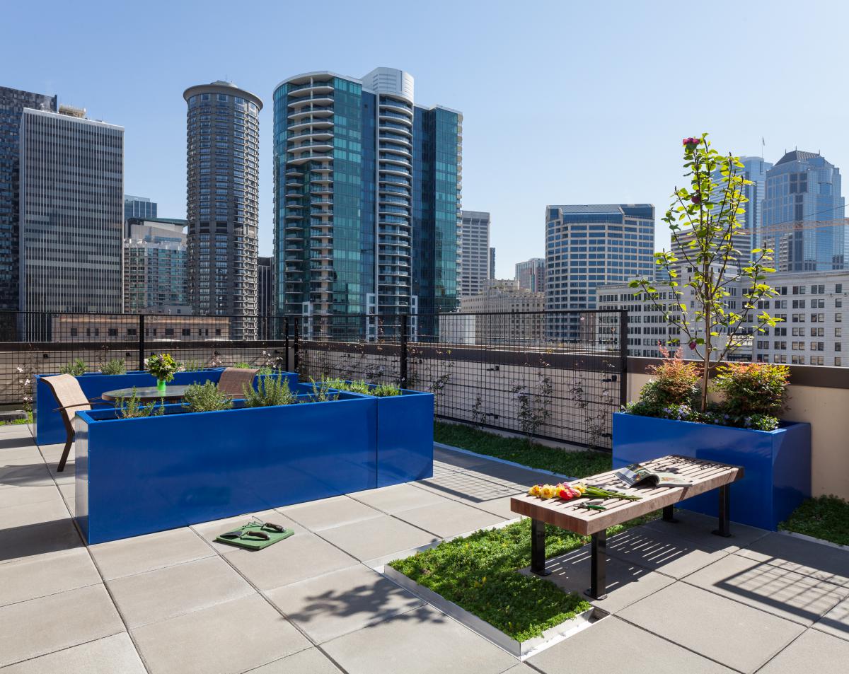 Photograph of a sunny rooftop garden with planters, a bench, outdoor furniture, and gardening supplies.