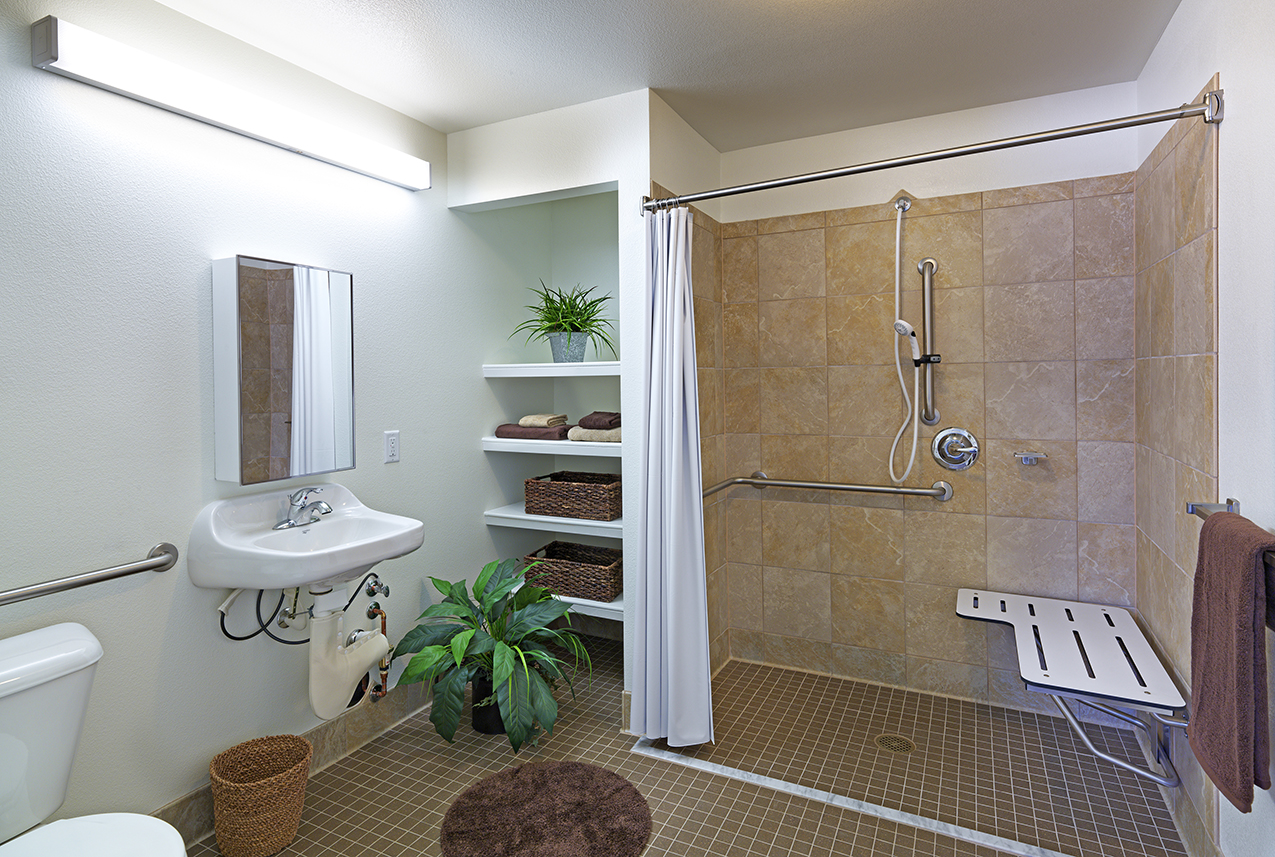 Photograph of a bathroom with a roll-in shower. 