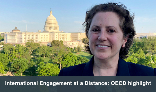 International Engagement at a Distance: OECD highlight