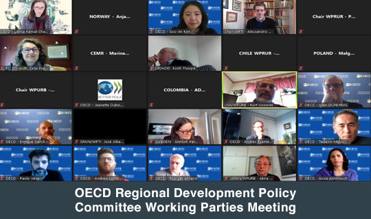 OECD Regional Development Policy Committee Working Parties Meeting
