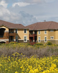 National Housing Market Indicators: June 2020