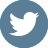 Twitter icon