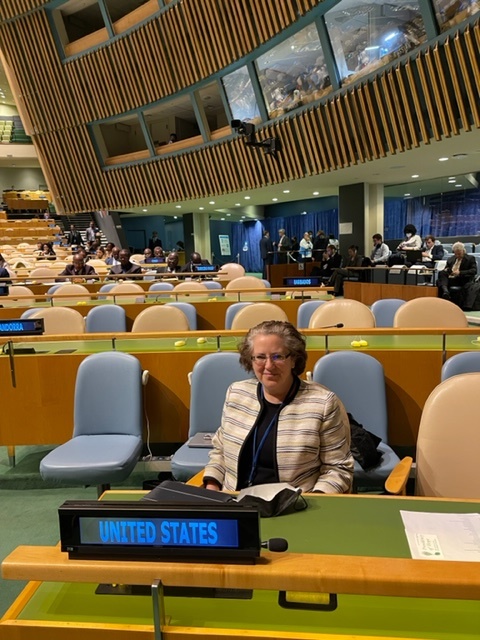 United States delegate seated in the General Assembly Hall of the United Nations.