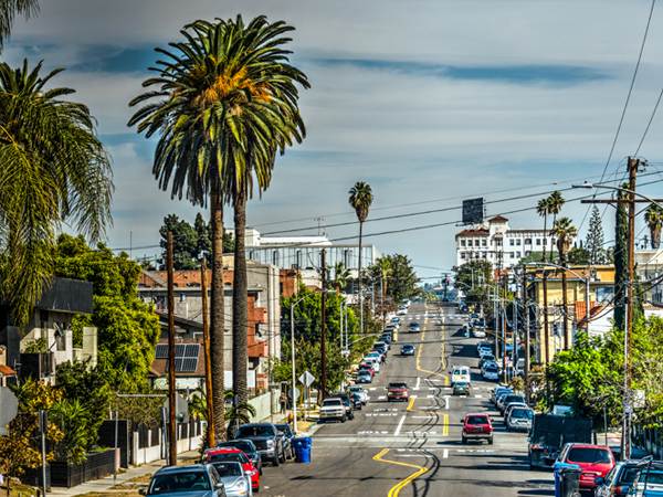 Image of a residential street in Los Angeles.