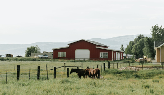 Photograph of a barn with two horses in a field in the foreground.