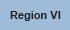 Region VI: Arkansas, Louisiana, New Mexico, Oklahoma, Texas