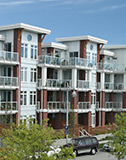 Case Studies Case Studies