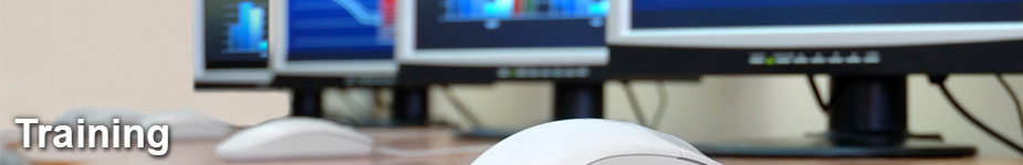 Physical Inspection Scores Training