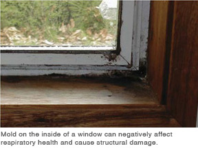 Mold on the inside of a window can negatively affect respiratory health and cause structural damage