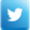 Twitter Icon