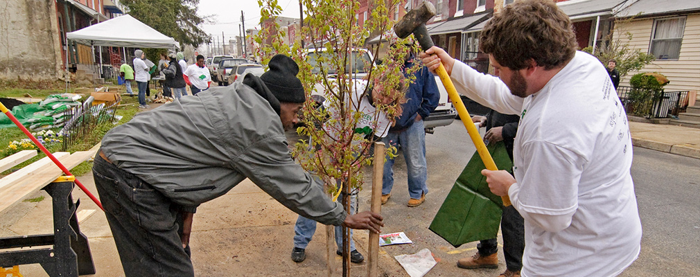Photograph of a dozen volunteers planting a tree and performing other tasks on the sidewalk of a Philadelphia residential street. 