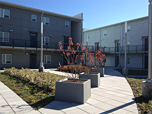 Photograph of the courtyard covering the parking structure at the 16 Park Apartments. Three bushes in box planters are set at the edge of one of the wide walkways. Areas planted with lawn and small bushes separate the walkways. Five sleek lights on poles line the walkways. Behind the walkways, the courtyard is defined by two 3-story facades. An exterior walk connects the two facades at the second story. 