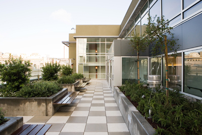 990 Polk’s rooftop gardens provide an outdoor patio as well as a space where residents can plant their own fruits and vegetables.