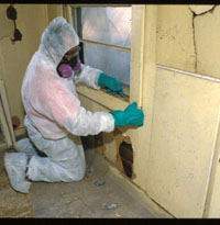 A picture of a worker removing lead-based paint in an older home.