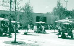 A picture of The Bridge, a centralized access point for services to the homeless in Dallas, Texas.