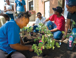 Local Chicago youth beautify East Garfield Park’s commercial district with plantings to improve the public space.
LISC/Chicago, Photography by Eric Young Smith Local Chicago youth beautify East Garfield Park’s commercial district with plantings to improve the public space.