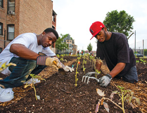 This victory garden in Chicago’s Washington Park neighborhood was formerly a vacant lot — an eyesore in the community.
LISC/Chicago, Photography by Eric Young Smith This victory garden in Chicago’s Washington Park neighborhood was formerly a vacant lot — an eyesore in the community