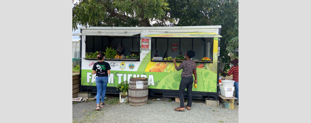 Customers at an enclosed farm stand with produce displayed. 