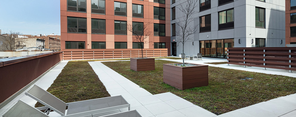 An inner courtyard with grass, paved walkways, saplings, and deck chairs.
