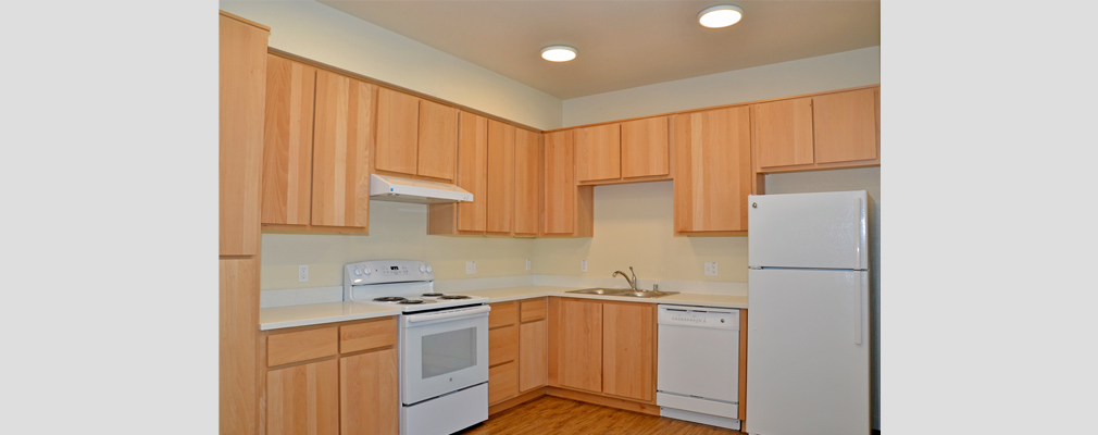 Photograph of a kitchen with a stove, refrigerator, dishwasher, and upper and lower cabinets.
