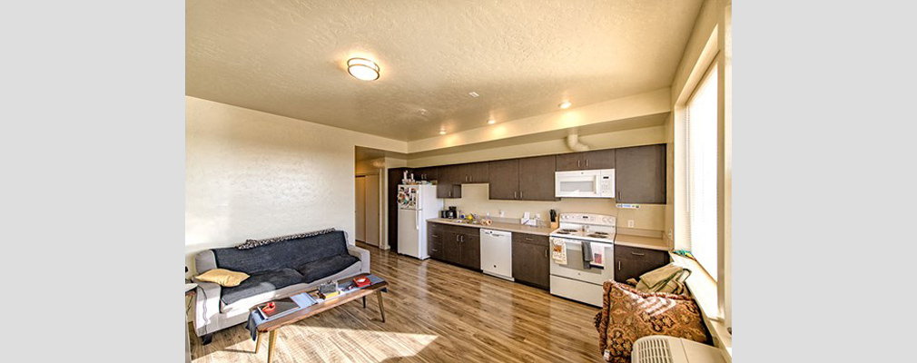 Photograph of kitchen with appliances and cabinets lining the rear wall of a large room, and with a sofa and table in the living area in the foreground.