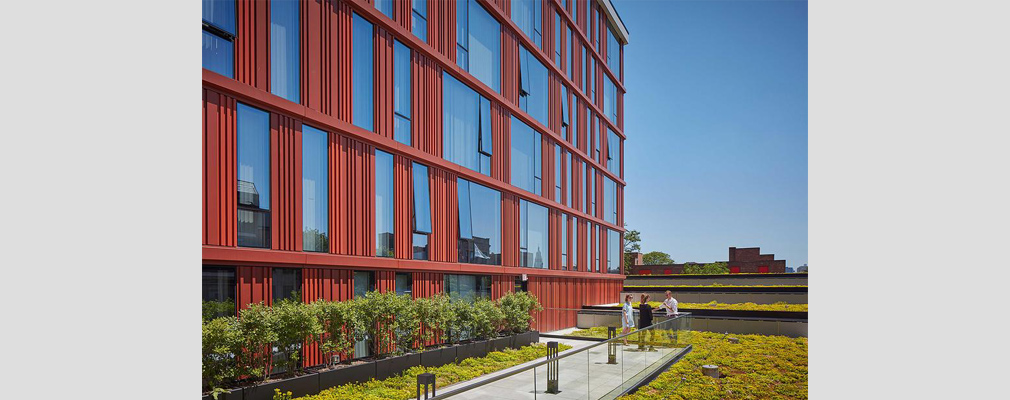 Photograph of a landscaped terrace next to the residential portion a of multistory building.