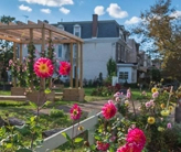 A community garden with flowers in the foreground and houses and a gazebo in the background.