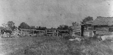 A black and white photograph of a log cabin at the Daniel Freeman homestead in Beatrice, Nebraska. "First Homestead" is written below the photograph.