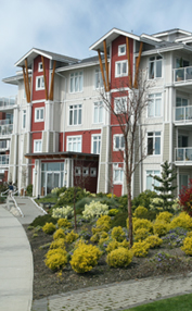 Image of a row of air-sealed townhomes