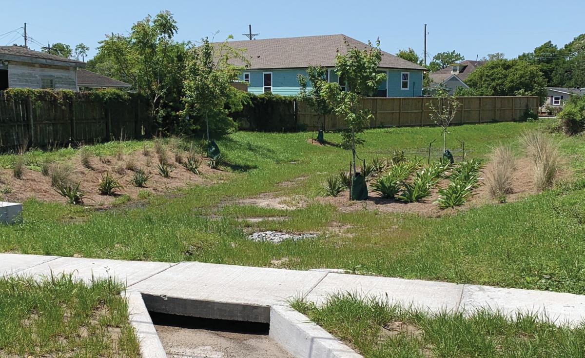 Photo of a grass and vegetation-covered vacant lot with a sidewalk in the foreground and houses in the background.