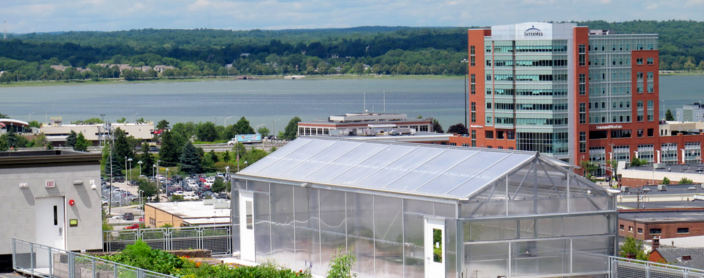 Photograph of the rooftop garden in the context of surrounding buildings and water in the middleground.