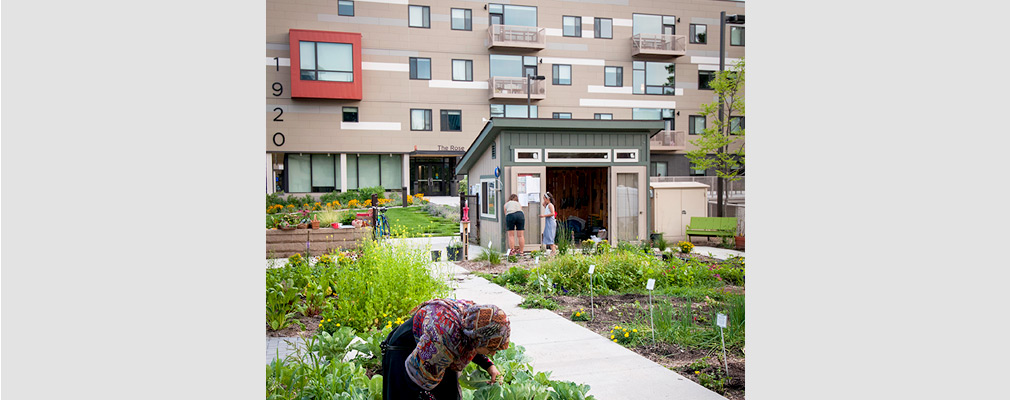Photograph of three people working in a vegetable garden, with a work shed in the middle ground and a four-story residential building in the background.  
