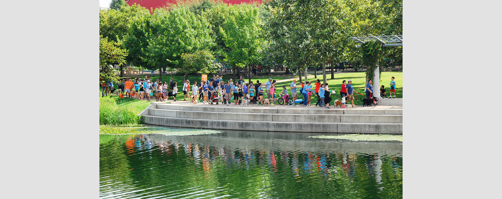 Photograph of more than 50 people walking their dogs beside a lake for a charity event.