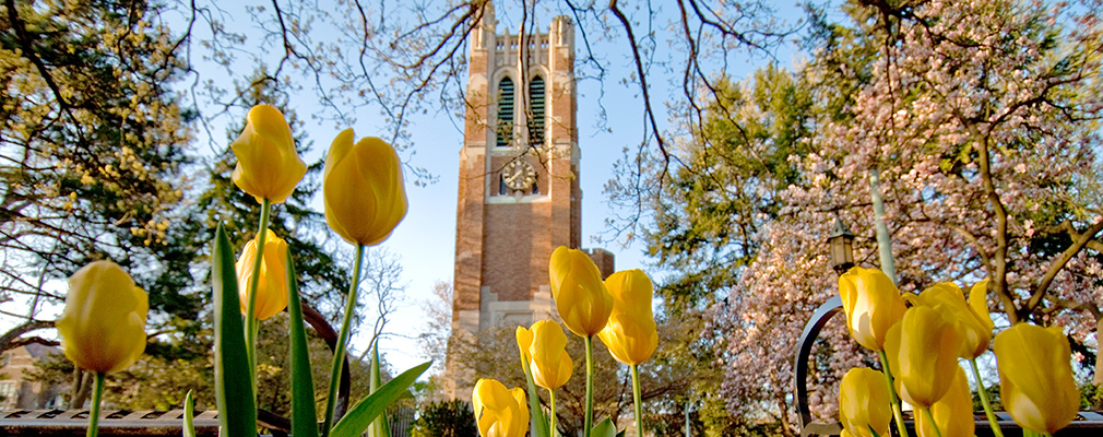 Photograph of a brick and stone, gothic style tower, a symbol of the university.