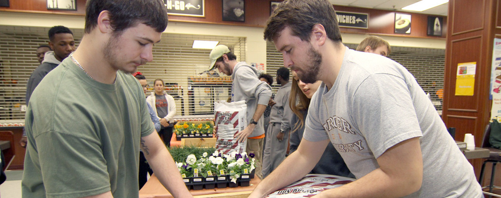 Photograph of several college students preparing planting beds.