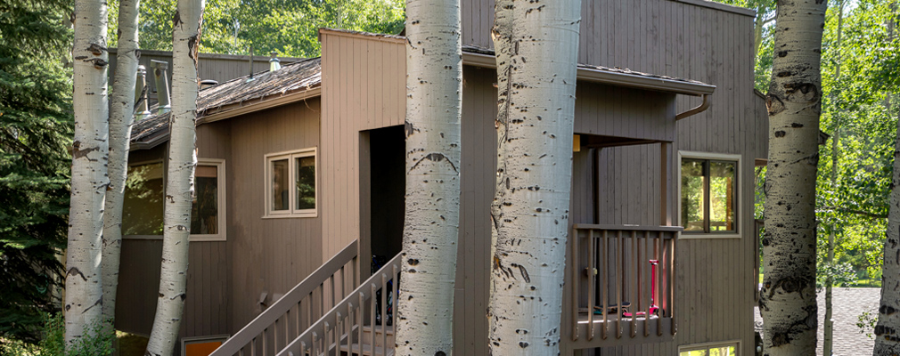 Photograph of the front and side façades of a two-story house surrounded by trees.