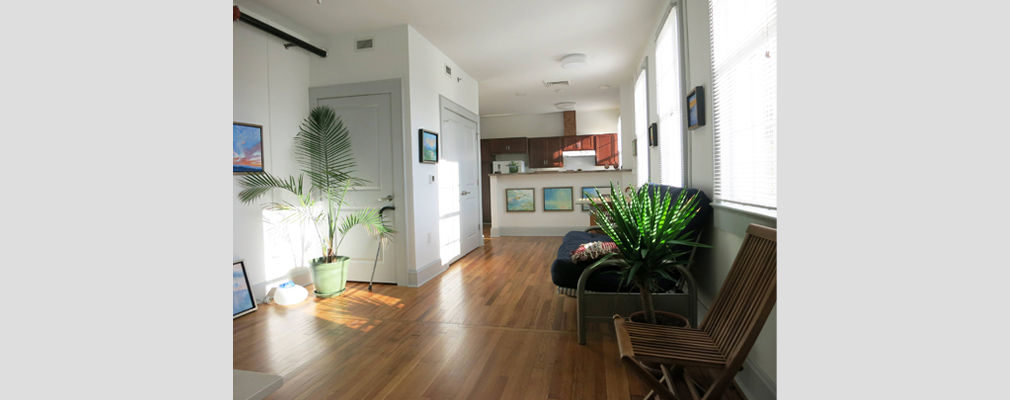 Photograph of an apartment, with a sofa, chair, and potted plants in the living area in the foreground, and  a kitchen area in the background.