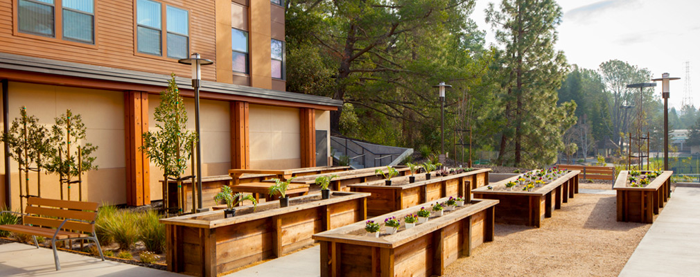 Photograph of a patio with a bench and rectangular wooden planters.